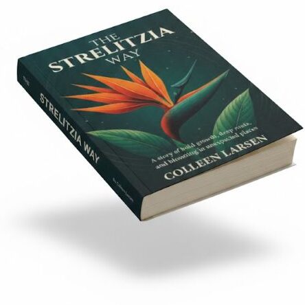 The Strelitzia Way Cover
